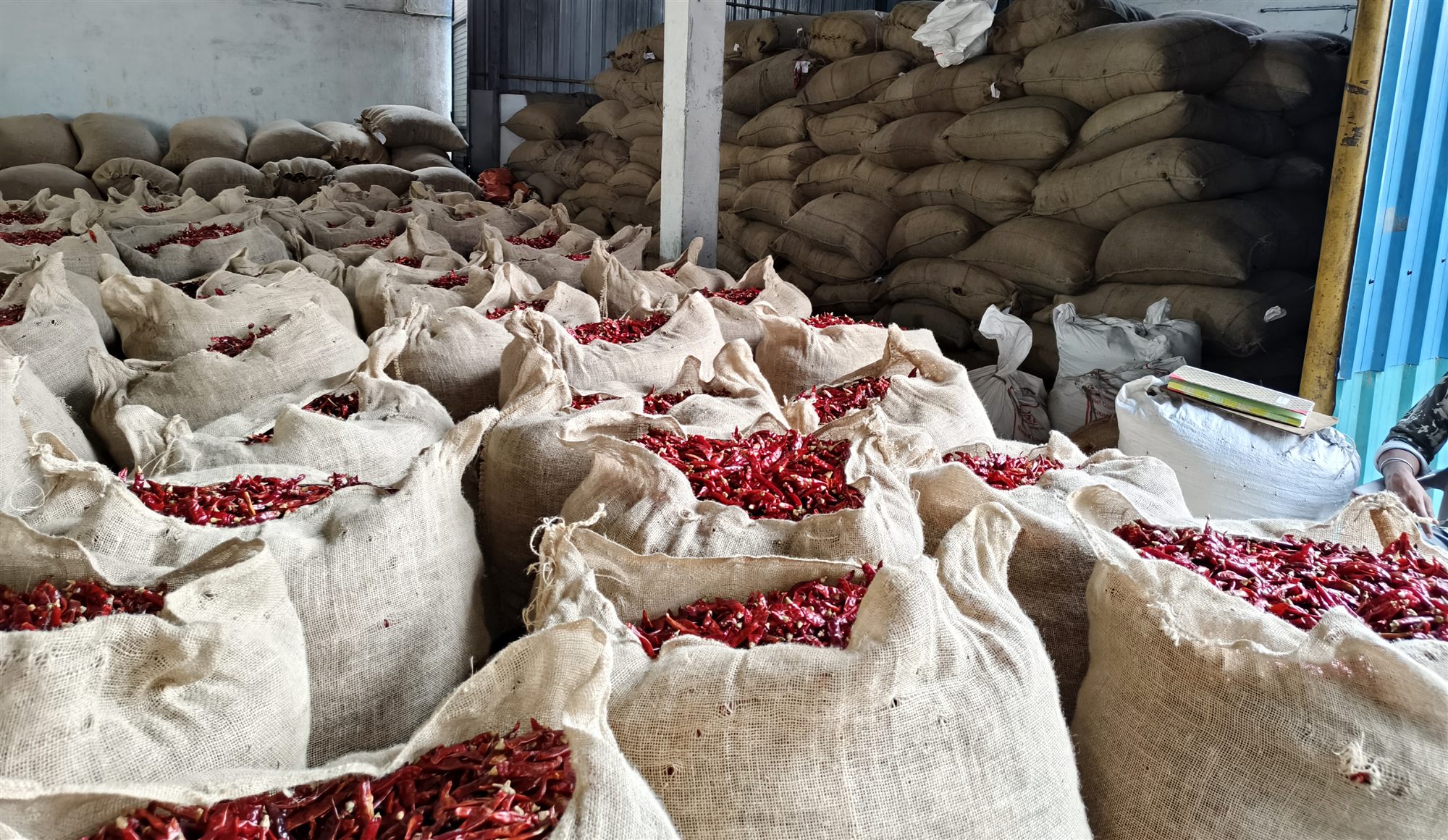 Teja S17 vs Byadgi Comparison